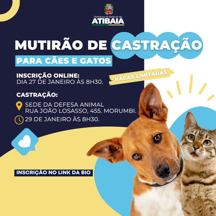 Primeiro Mutirão de Castração de 2025 em Atibaia: Inscrições Abertas