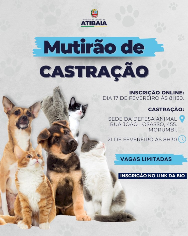 Atibaia Realiza Mutirão de Castração para Pets: Inscrições Abertas