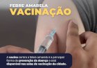 Imunização Essencial: Vacina Contra a Febre Amarela em Atibaia