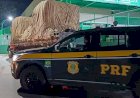 Operação PRF e PCSP Prende Motorista por Transporte de Peças Roubadas