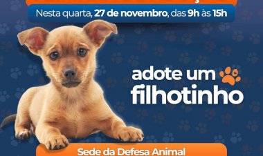 Feira de Adoção de Filhotes