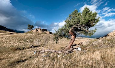 Alerta do Inmet: Chuvas Intensas e Ventos Fortes Atingirão o Vale do Paraíba
