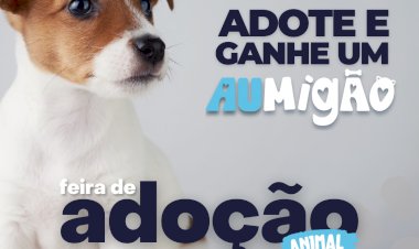 Amor de Quatro Patas: Feira de Adoção em Atibaia