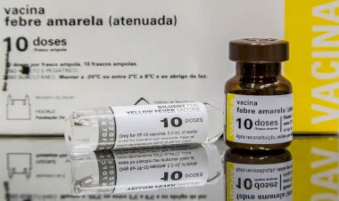 Prefeitura de Bragança Paulista Reforça Vacinação Contra Febre Amarela