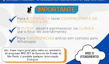 Consultas Gratuitas para Pets: Agendamentos Abertos em Piracaia