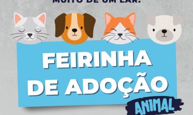 Atibaia Realiza Feirinha de Adoção para Pets no Dia 12 de Março
