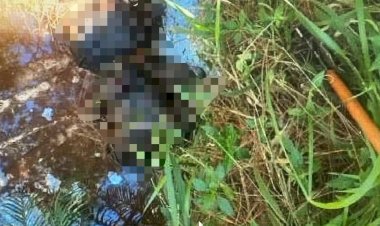 Corpo em decomposição é encontrado em Atibaia com sinais de violência