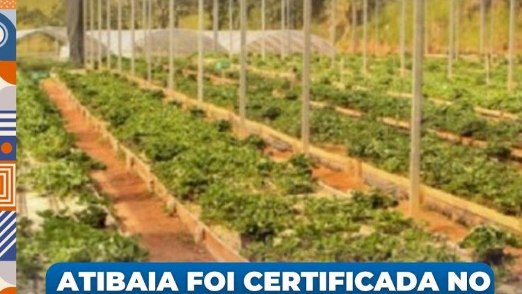 Atibaia Conquista 12º Lugar no Programa Município Agro 
