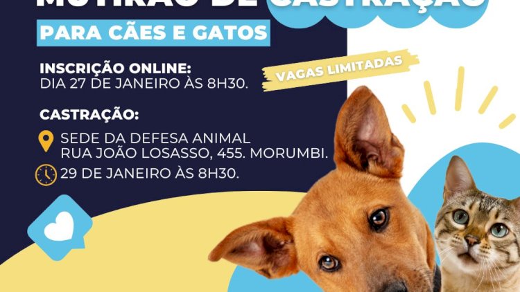 Primeiro Mutirão de Castração de 2025 em Atibaia: Inscrições Abertas
