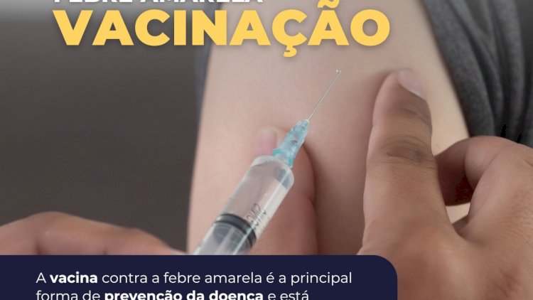 Imunização Essencial: Vacina Contra a Febre Amarela em Atibaia