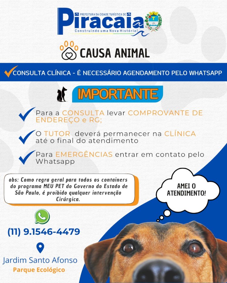 Consultas Gratuitas para Pets: Agendamentos Abertos em Piracaia